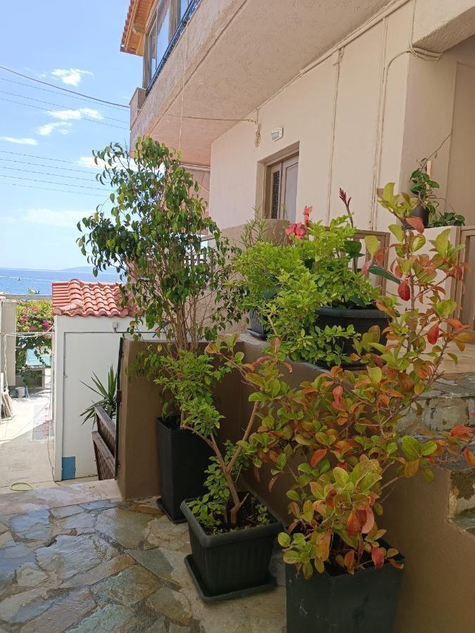 Buganvilla Sea View Apts Agia Pelagia  Exterior foto